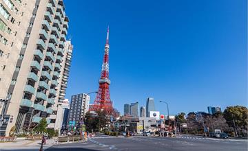 日本｜東京鐵塔這樣拍更特別！步行就可到的赤羽橋、芝公園，櫻花季網美照必拍