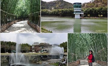 韓國｜蔚山太和江國家庭園：走訪蔚山十二景，穿梭70萬棵蓊鬱竹林間，感受武俠電影氛圍