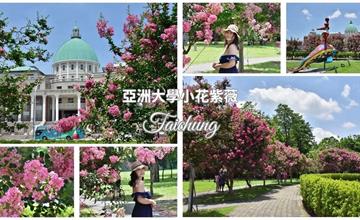 台中｜亞洲大學：越熱越盛開，粉嫩紫薇花季到！搭上歐式圓頂建築，拍出夏日浪漫情懷