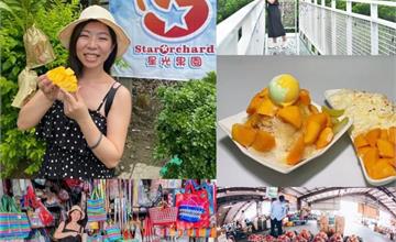 台南｜玉井一日小旅行：季節限定夏日玩法～星光果園、芒果冰館、玉井老街～芒果控必收！