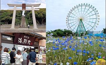 日本｜茨城一日遊：大洗磯前神社、那珂湊海鮮市場、國營海濱公園～花海美食玩透透