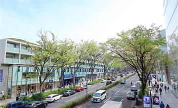 日本東京｜原宿澀谷推薦：朝聖次文化發源地澀谷PARCO！逛KIDDY LAND買動漫周邊、吃超療癒法國料理