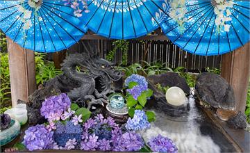 日本東京｜法輪寺：浪漫繡球花渲染神聖神社，隨季節更換花手水、IG超紅御朱印必蒐集