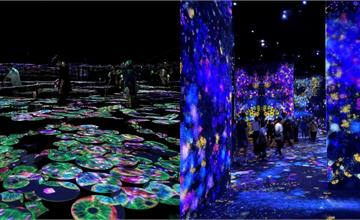 日本｜六本木麻布台 Hills teamLab ★ Borderless：用燈光走進沒有邊界的美術館，館內玩法亮點推薦！