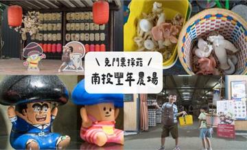 南投｜豐年靈芝菇類生態農場：免門票親子趣味採菇體驗！難得一見珍奇菇蕈，還能動手DIY