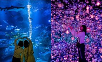 日本｜東京8大室內景點推薦：池袋太陽城、麻布台TeamLab、墨田水族館，雨天不怕沒地方去