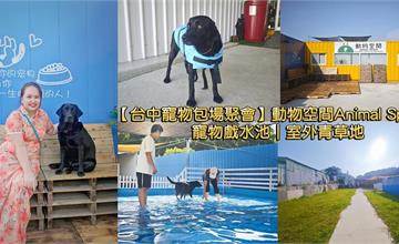 台中｜動物空間Animal Space：超大毛孩專用戲水池、跑跳草皮，與主人共度午後美好時光