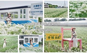 彰化｜幸福韭韭－韭菜花田：季節限定！千坪雪白韭菜花宛若仙境，還能與70歲車廂合影