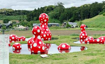 日本｜千葉景點 KURKKU FIELDS：結合自然、藝術、農業和美食的藝術農場，還有草間彌生作品！