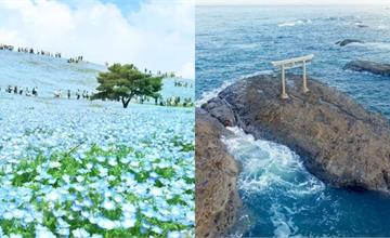 日本｜茨城景點推薦：360度海景車站、絕美粉藍色花海、海上鳥居，感受茨城的藍調