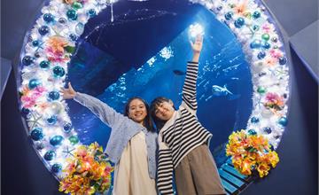 日本｜DMM Kariyushi水族館聖誕特別活動，打造沖繩夢幻打卡熱點！