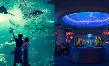 日本｜鎌倉新江之島水族館攻略！日劇拍攝景點，水母夢幻廳抓住海中的流星 