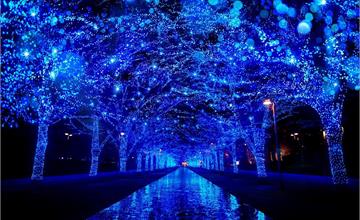 日本｜東京四大光雕燈飾：耶誕跨年限定，浪漫冬日必訪！櫻花道璀璨光影、82萬香檳金燈泡、「青之洞窟」奇幻雪景、哥吉拉光雕投影秀
