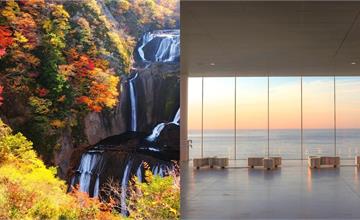 日本｜茨城景點推薦：波波草、神社鳥居、海上玻璃車站和全球最高佛像，必遊景點都在這