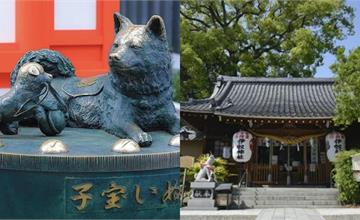 日本｜三間日本懷孕求子神社推薦！在「戌之日」參拜祈求平安，讓運勢吉上加吉