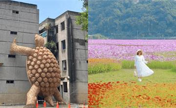 桃園｜桃園活動小百科：海芋、蓮花、仙草花節繽紛綻放，跟著地景藝術探索桃園之美，全年特色活動一次看！