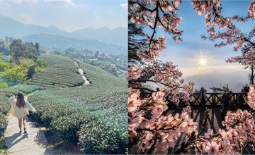 嘉義｜精選7個阿里山日出景點！日出、雲海與層層山巒都入框，欣賞一生必賞一次的美景