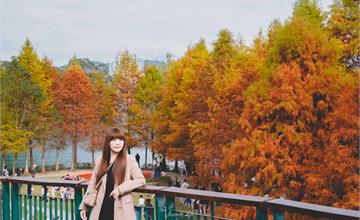 南投｜日月潭向山遊客中心：落羽松紅了！冬季限定橘紅落羽松林，怎麼拍都驚豔