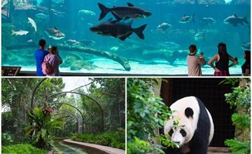 新加坡｜河川生態園：戶外水生動物園，搭乘探索船觀賞河川生態＆動物！