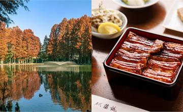 日本｜埼玉景點推薦：鐵道迷必訪大宮站、博物館、老神社、日式庭園，還可以到小江戶川越