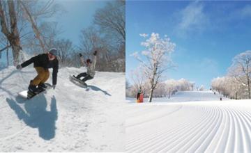 日本｜Meiho滑雪場攻略！西日本最大級滑雪場，新手、專業滑雪者都適合，待一整天沒問題