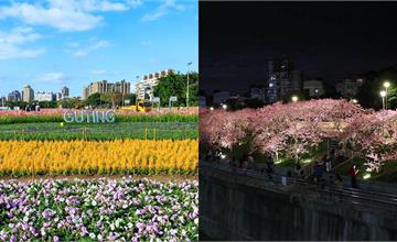 台北｜春節必遊7大花海推薦！河濱公園、陽明山、貓空，帶著全家賞花踏青去！