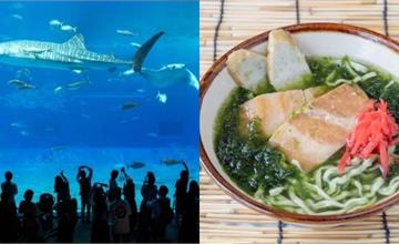 日本｜沖繩自駕遊攻略！沖繩公路旅遊、探訪美麗海水族館，最佳沖繩旅遊方式這樣玩