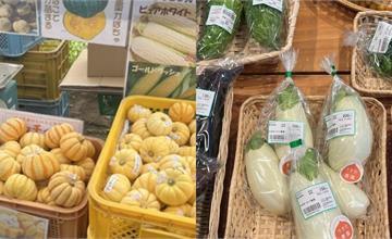 日本｜四季蔬菜月曆：採買蔬菜一次看懂，產地直出新鮮又便宜