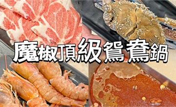 魔椒頂級鴛鴦鍋：桃園中壢吃到飽推薦！海鮮、肉品、紅白酒無限喝