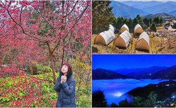 蟬說：霧語Woo Yuu：新竹高海拔豪華露營！住進雲的故鄉，滿天星斗、櫻花樹海盡收眼底