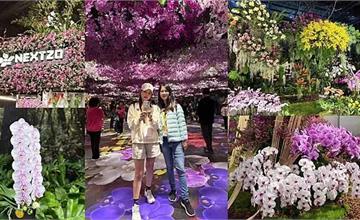 「2025臺灣國際蘭展」3/8登場！四大場域、五大展館，超萌Orchid獸×巷仔貓吉祥物