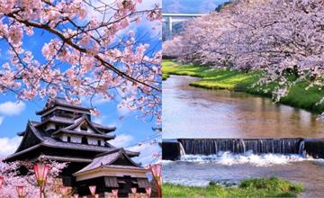 日本山陰賞櫻景點推薦！出雲大社、松江城，賞櫻花還能求姻緣