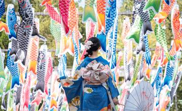 桃園神社夏日祭典「鯉魚流光祭り」4月起夢幻登場！