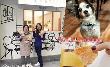 愛毛客複合式餐廳：淡水寵物友善咖啡廳，附狗狗寵物餐！