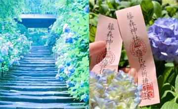 全日本繡球花季景點推薦！從鐮倉、箱根到京都，賞紫陽花感受雨季浪漫