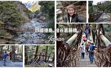 祖谷葛藤橋：探訪日本三大奇橋之一，走進山林原始秘境，旅人必遊景點