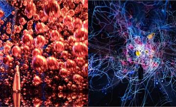日本京都teamLab Biovortex Kyoto！2025年秋季登場，4大亮點搶先看