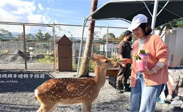 星夢森林劇場：宜蘭親子動物樂園，還可以與水豚君握手！
