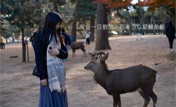 日本奈良一日遊｜徒步感受古都魅力，推薦奈良公園、春日大社、百年鰻魚飯菊水樓