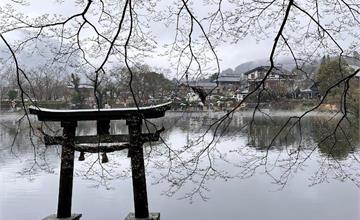 日本九州｜由布院一日遊：匯集溫泉、自然美景、甜點美食，湯之坪溫泉街、金鱗湖旅遊攻略