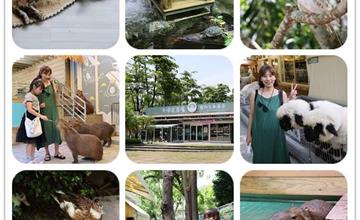 高雄｜天使＆惡魔寵物互動園區：超質感的動物園區，鸚鵡、卡皮巴拉、笑笑羊拍照零距離