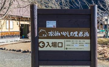日本山梨｜西湖療癒之里根場：唯一能和富士山合影的合掌村！藝展、雜貨、美食，小而豐富
