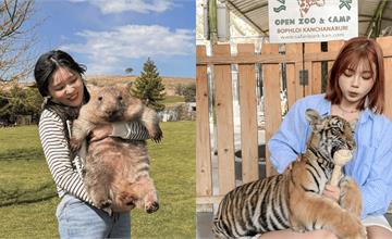 世界8大可愛動物景點推薦！短尾矮袋鼠、袋熊、水獺一次看