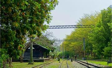 台中｜泰安鐵道文化園區：參觀懷舊車站，林蔭包裹廢棄月台與鐵軌，流淌時光痕跡