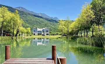 花蓮｜靜樹湖民宿：山中的幽靜別墅，沉浸遼闊綠意與浪漫落雨松，午後還可以到湖面划船