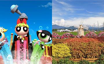 2025台中花毯節11/8登場！飛天小女警現身新社花海，活動資訊一次看！