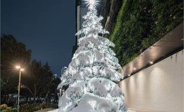 2025勤美草悟聖誕村11/21開村！雪白聖誕樹、250公尺光之道一次看！