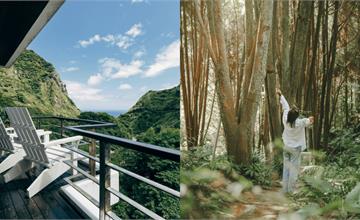 「薰衣草森林」ITF台北國際旅展：滿萬送千、11月壽星免費入園！