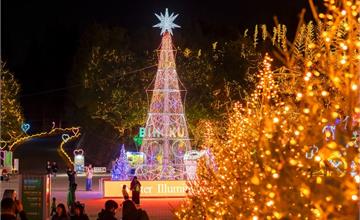 日本廣島冬季景點推薦！6大浪漫聖地，繽紛燈海、溫泉必訪！