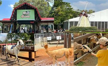 桃園｜埔心牧場：親子旅遊天堂！與動物近距離互動、體驗手工榨乳，大草皮讓小孩盡情跑跳